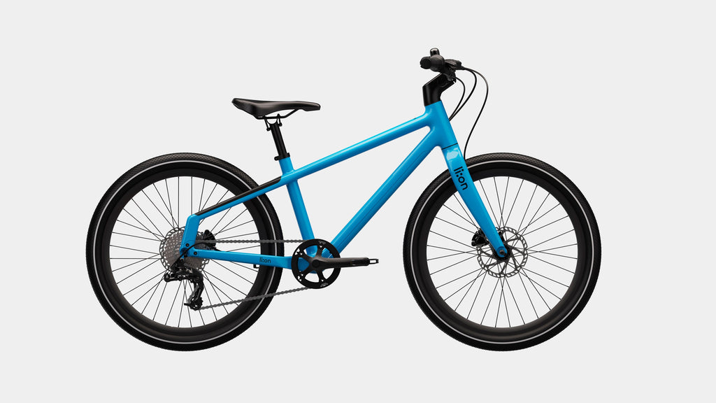 Kinderfahrrad li:on Pure, Made in Germany – li:on bikes